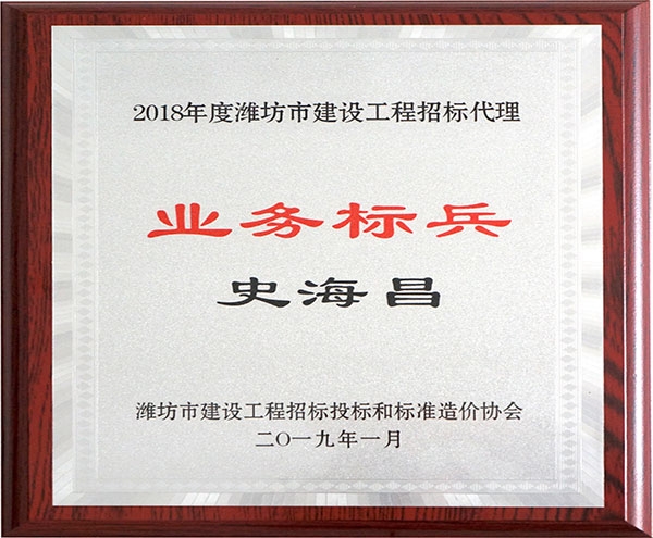 2018年度潍坊市建设工程招投标业务标兵史海昌牌匾